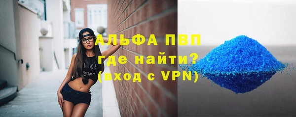 дживик Бородино