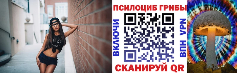 Купить где  Магадан  Псилоцибиновые грибы Psilocybe 